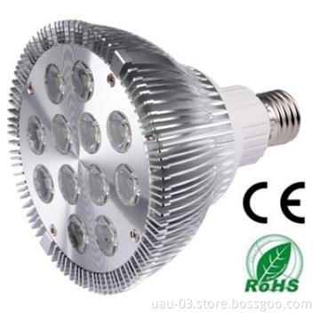 12W PAR38 LED Spotlight